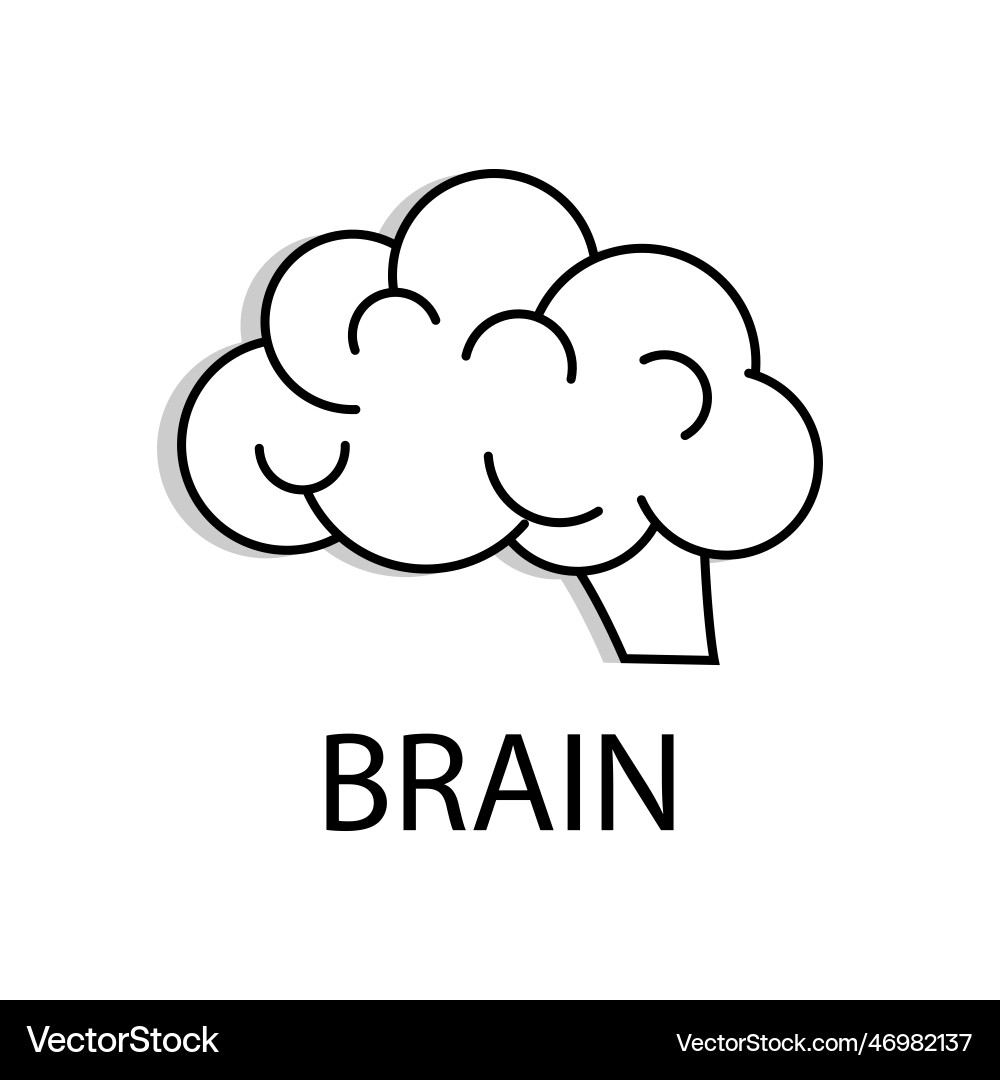 Outline brain icon for web design Royalty Free Vector Image