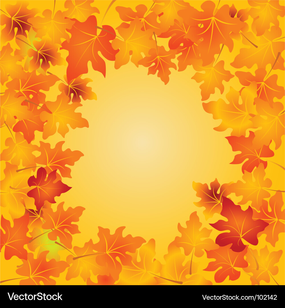 Autumn leaves background Royalty Free Vector Image