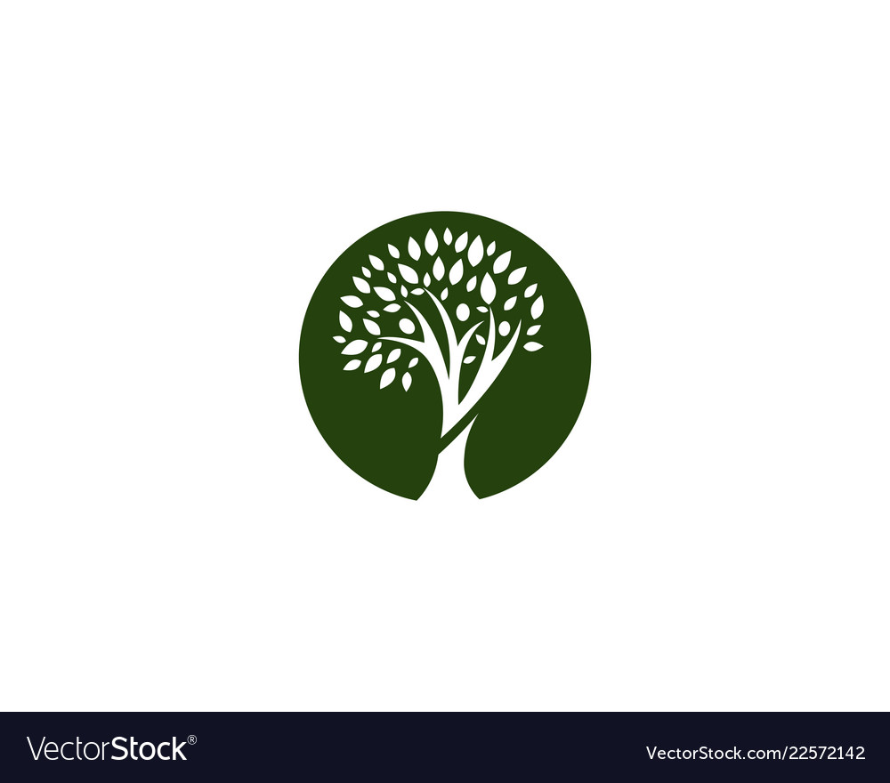 Family tree logo template Royalty Free Vector Image