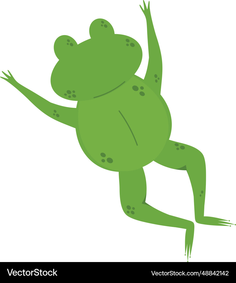 Frog amphibian Royalty Free Vector Image - VectorStock