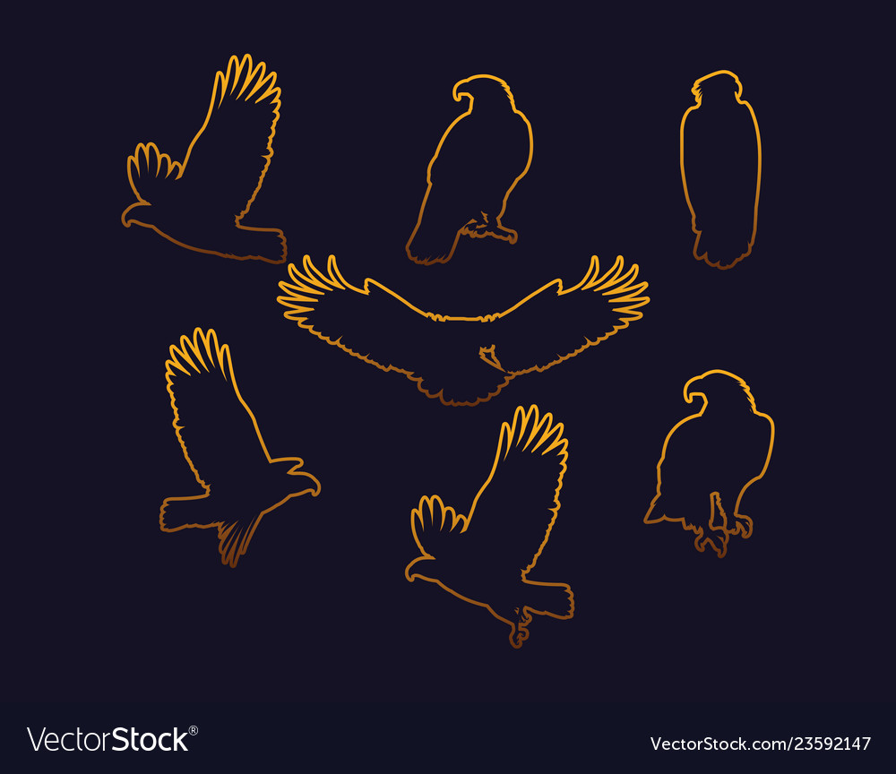 Bald eagles birds golden silhouettes set poses