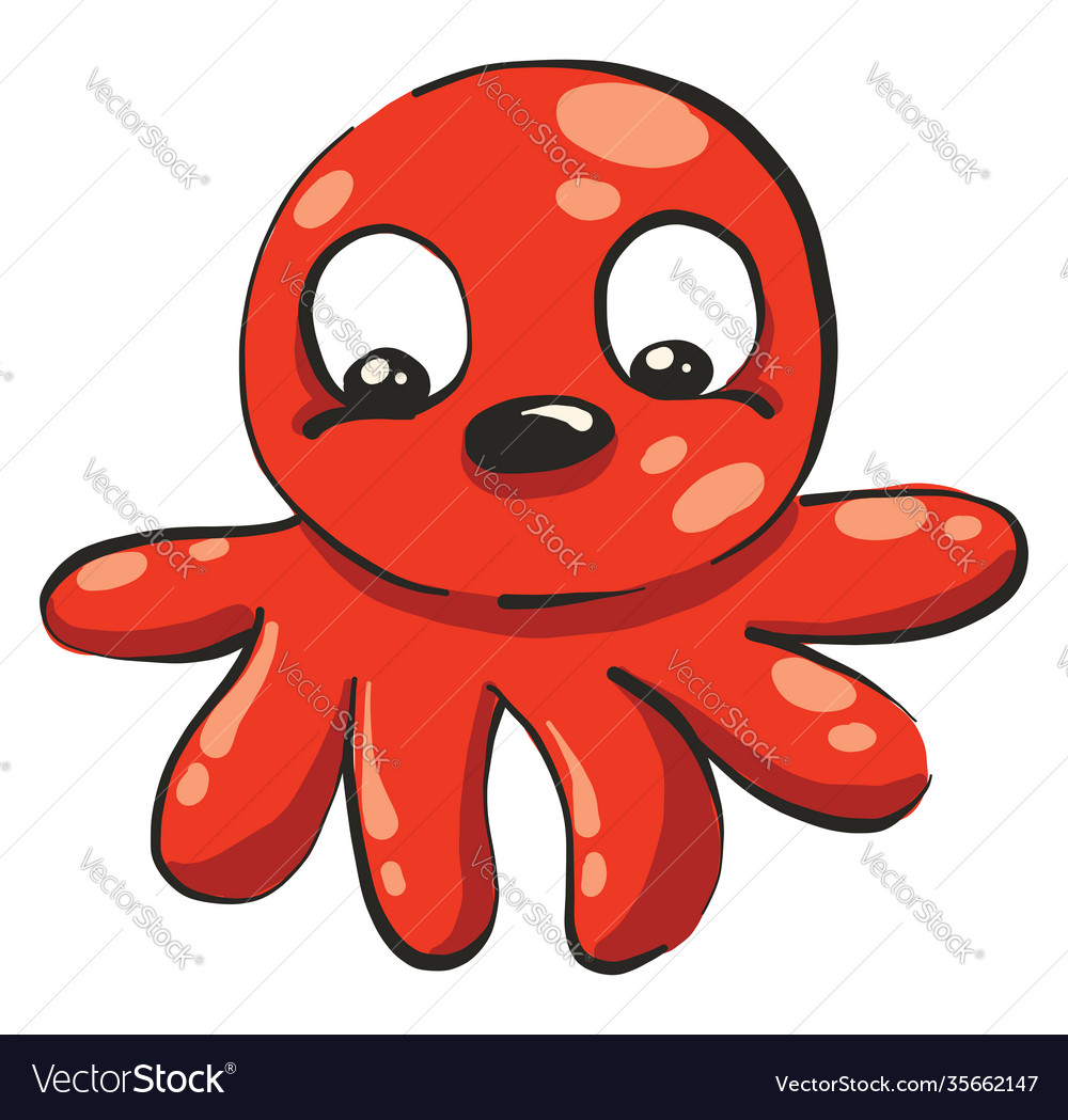 Red squid on white background Royalty Free Vector Image