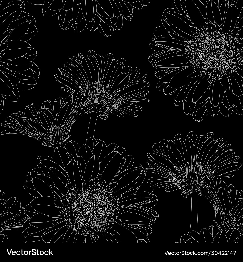 Seamless pattern with hand drawn gerbera flowers Vector Image