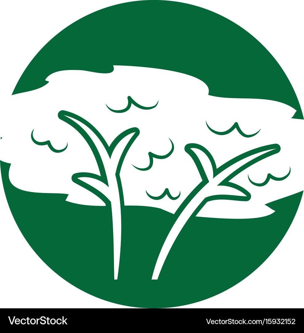 Tree plant forest icon Royalty Free Vector Image