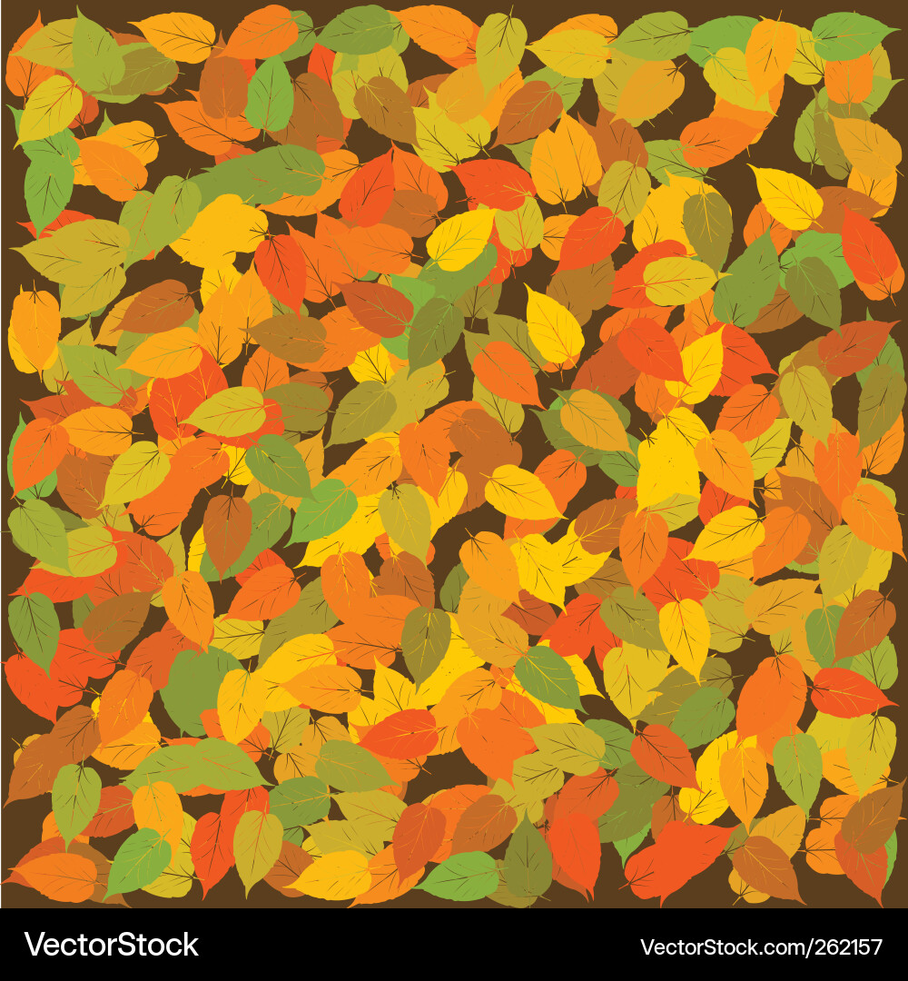 Early Fall Color Vector Autumn colors Royalty Free Vector Image - VectorStock