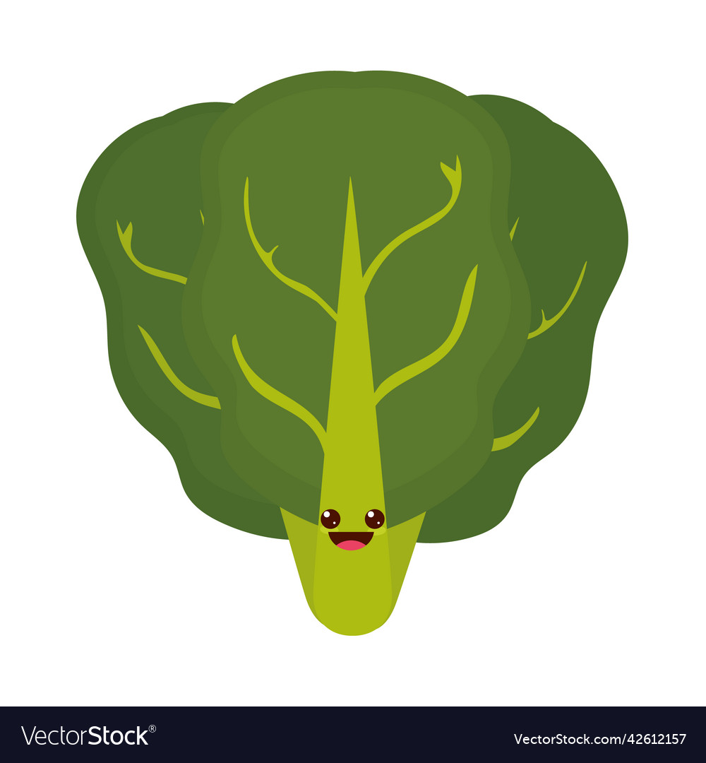 Kawaii lettuce icon Royalty Free Vector Image - VectorStock