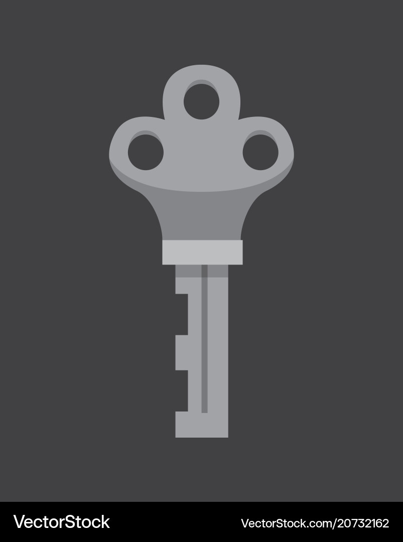Cartoon keys secret mystery Royalty Free Vector Image