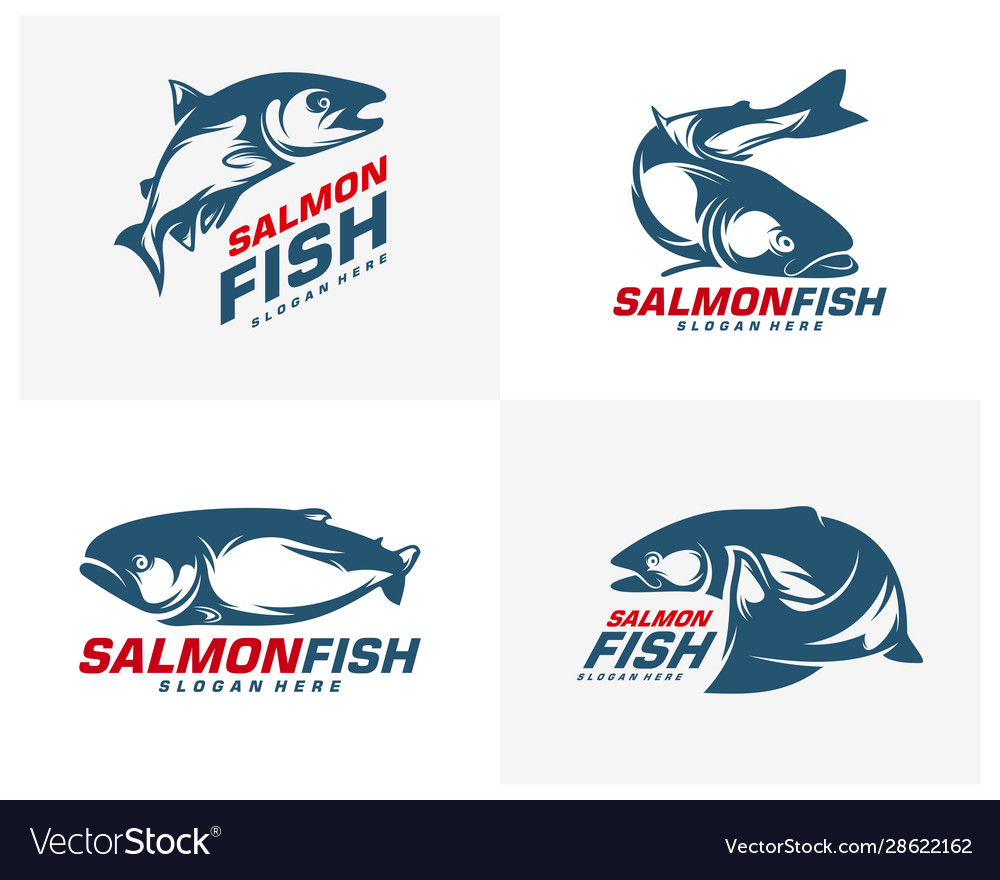 Salmon fish logo design fishing logo design Vector Image