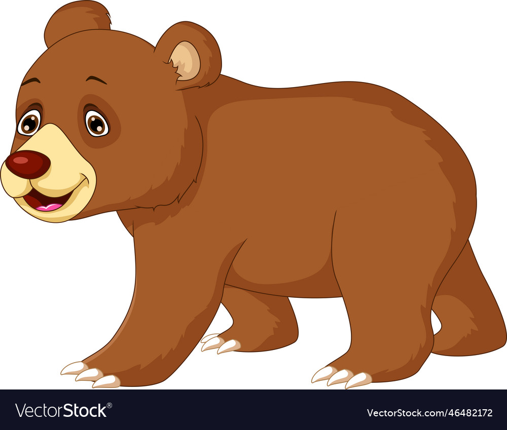 Cute brown bear cartoon posing Royalty Free Vector Image