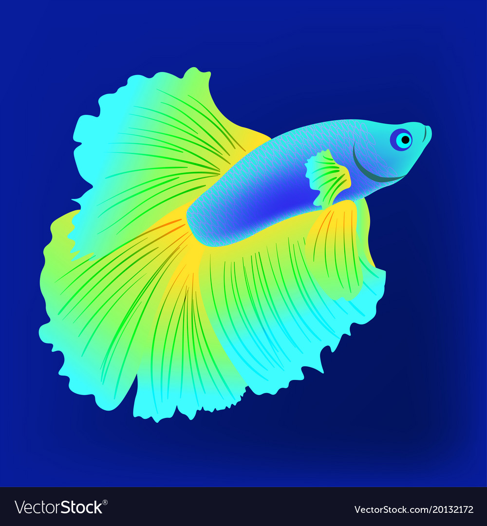 the dark fish www