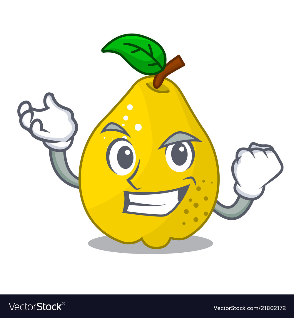 Successful bunch cartoon juicy yellow quinces Vector Image