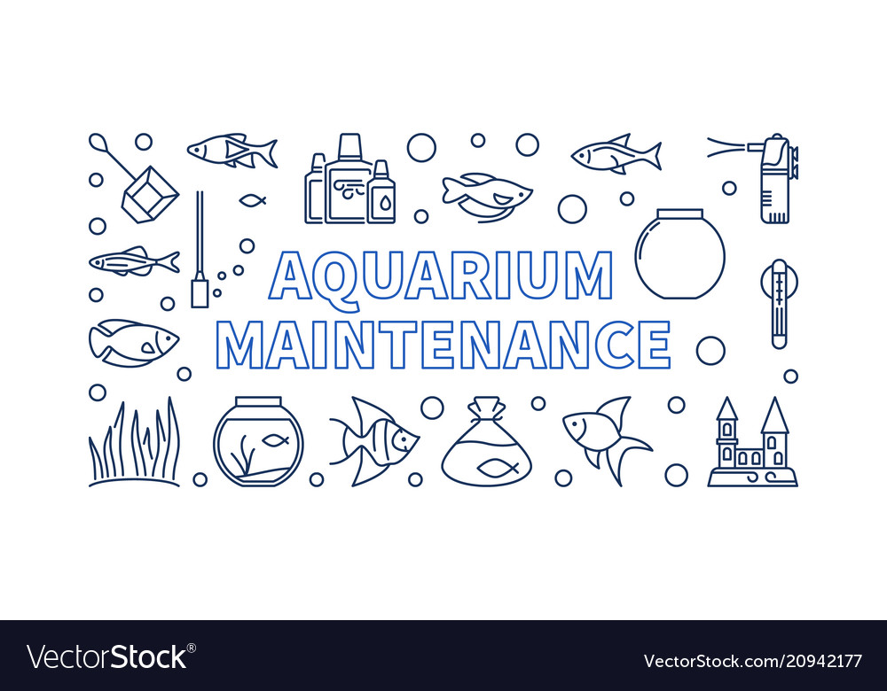 Aquarium Maintenance Horizontal Banner Or Vector Image