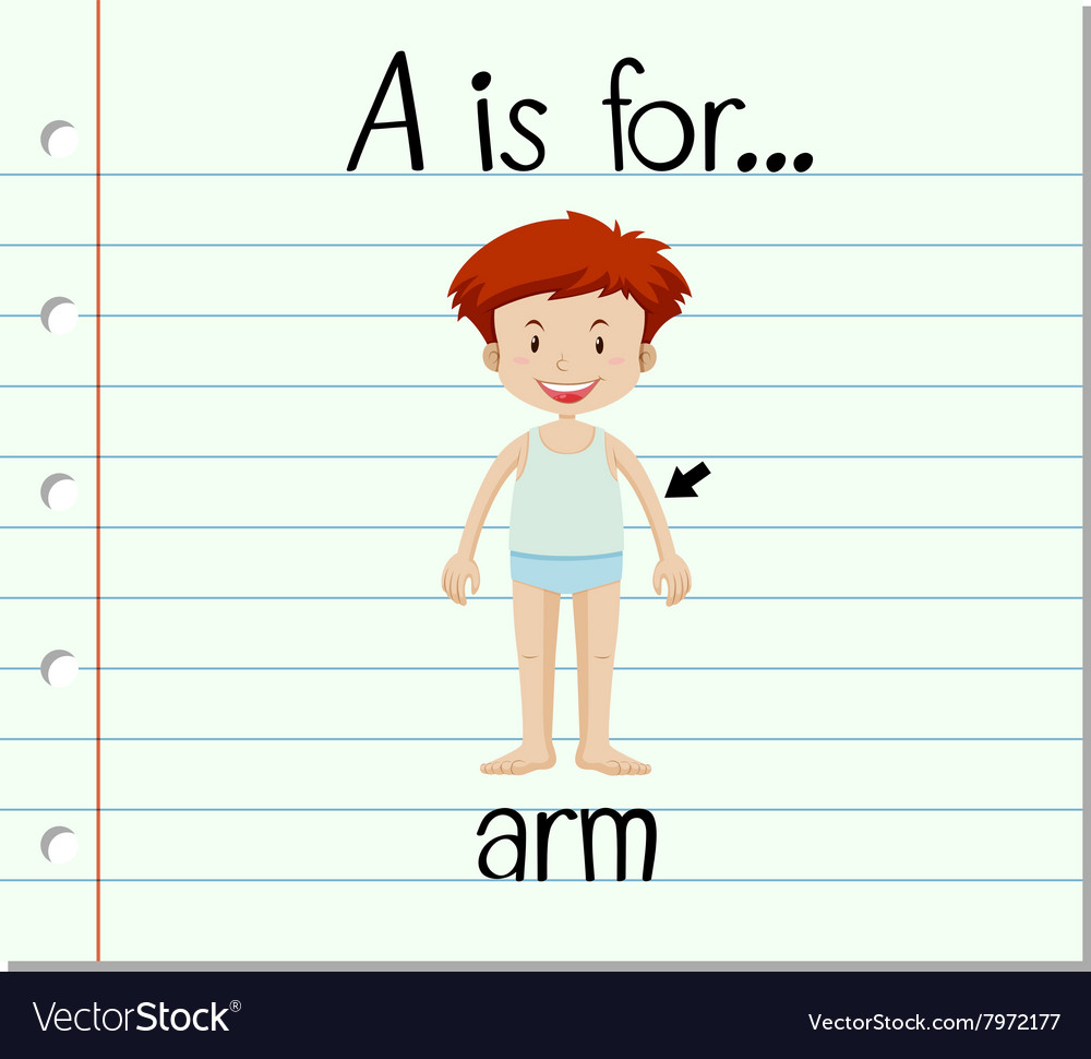 Flashcard letter a is for arm Royalty Free Vector Image