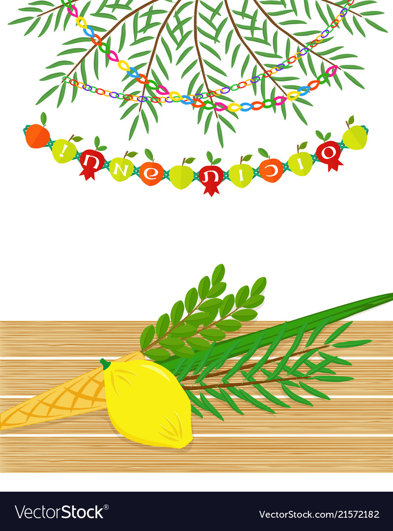 Jewish holiday sukkot four species Royalty Free Vector Image