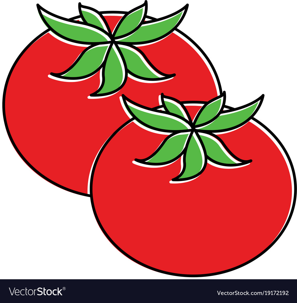 Fresh tomatoes isolated icon Royalty Free Vector Image