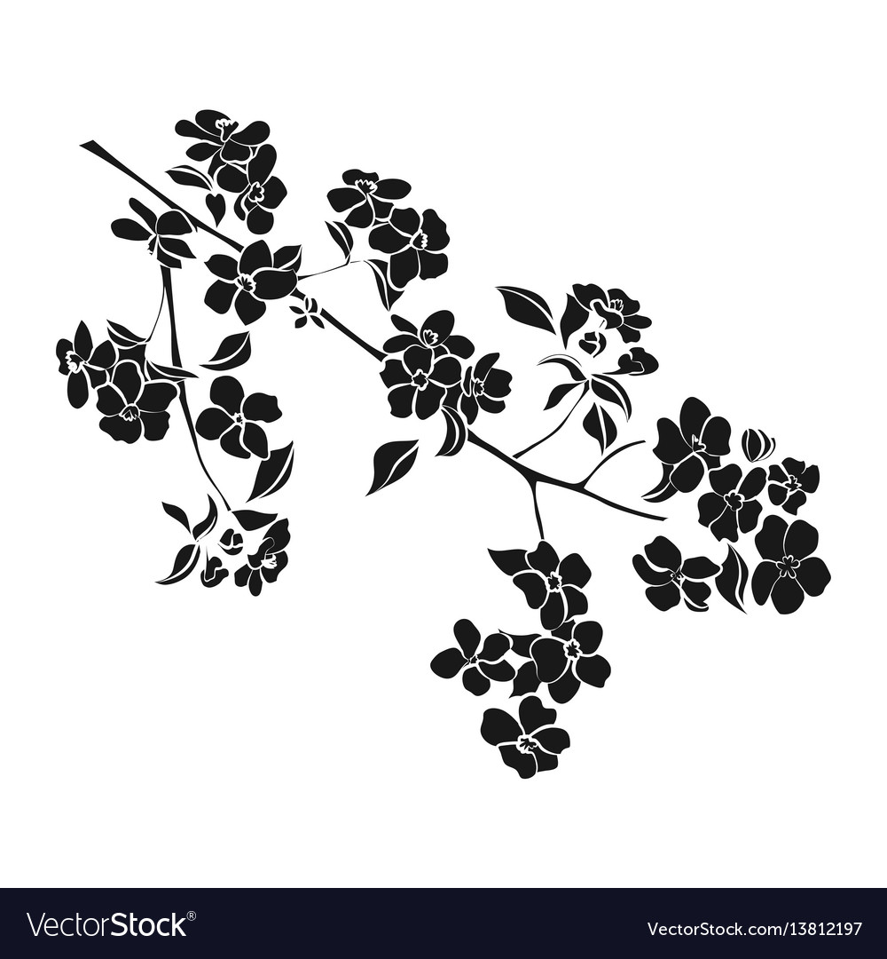 Traditional Apple Blossom Tattoo Elegant Arts Tattoo Traditional Apple Blossom Tattoo Elegant Arts Tattoo