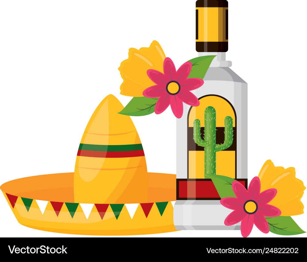 Mexican hat tequila Royalty Free Vector Image - VectorStock