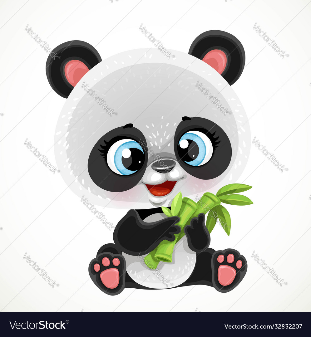 panda bear eating