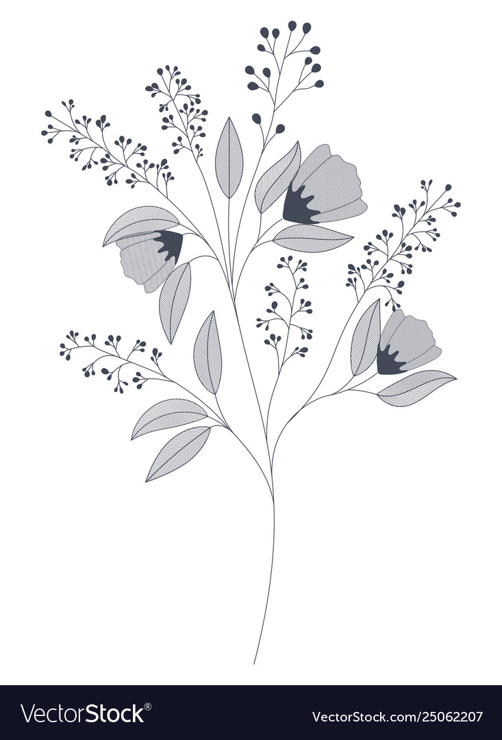 Flowers with branches and leaves isolated icon Vector Image