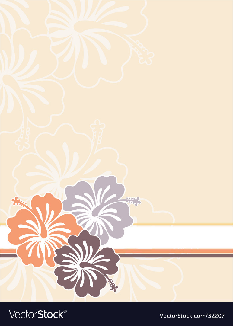Honolulu flower Royalty Free Vector Image - VectorStock