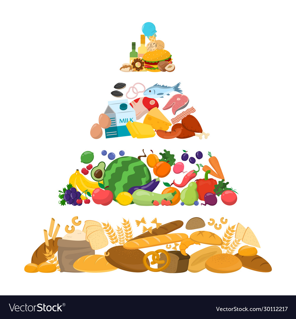 Food Pyramid Vector Isolated Bread And Cereal Stock Illustration | Hot ...