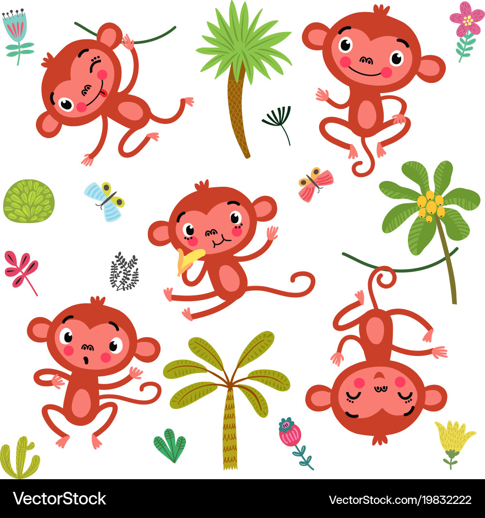 5 cute monkeys Royalty Free Vector Image - VectorStock