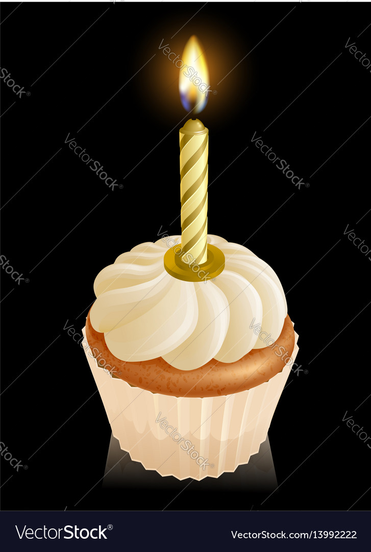 Fairy Cake Cupcake With Birthday Candle Vector Image Fairy Cake Cupcake With Birthday Candle Vector Image
