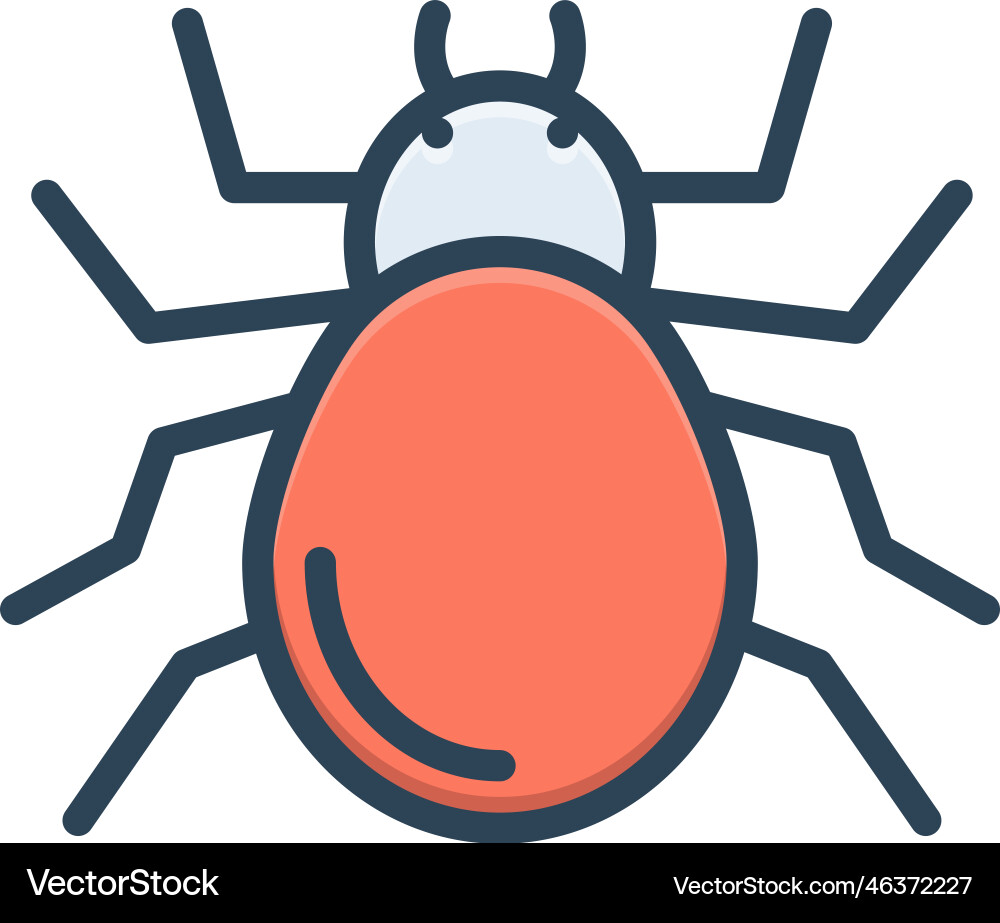 Spider Royalty Free Vector Image - VectorStock