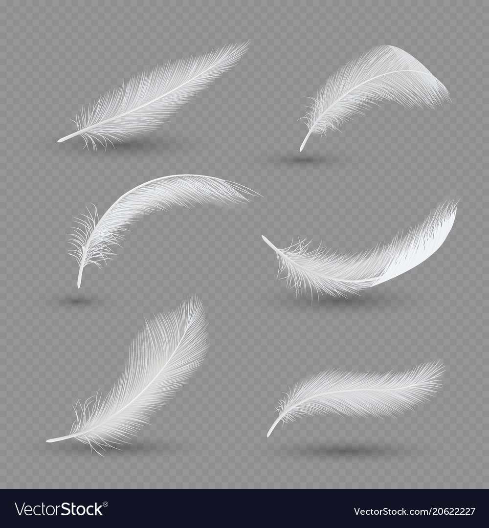 White Birds Feather Icon Set Realistic Royalty Free Vector