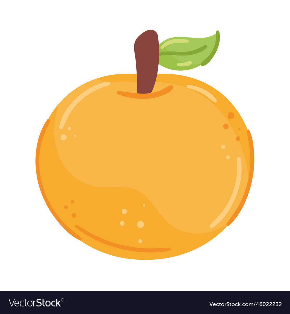 Fresh orange fruit healthy Royalty Free Vector Image