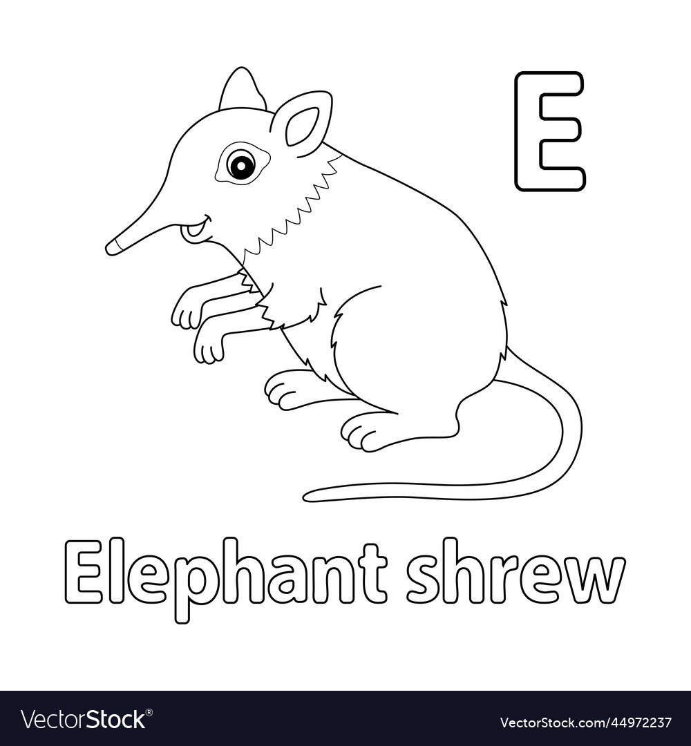 Elephant shrew alphabet abc isolated coloring e Vector Image