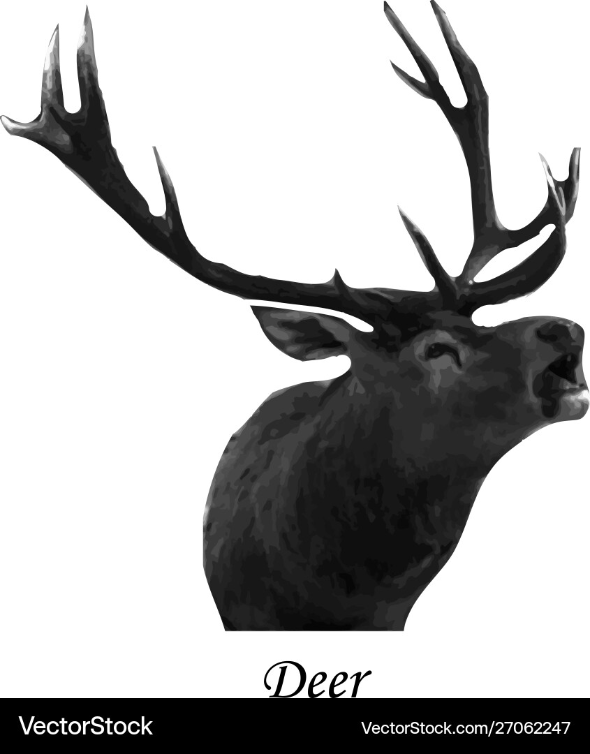 Deer on isolated background Royalty Free Vector Image