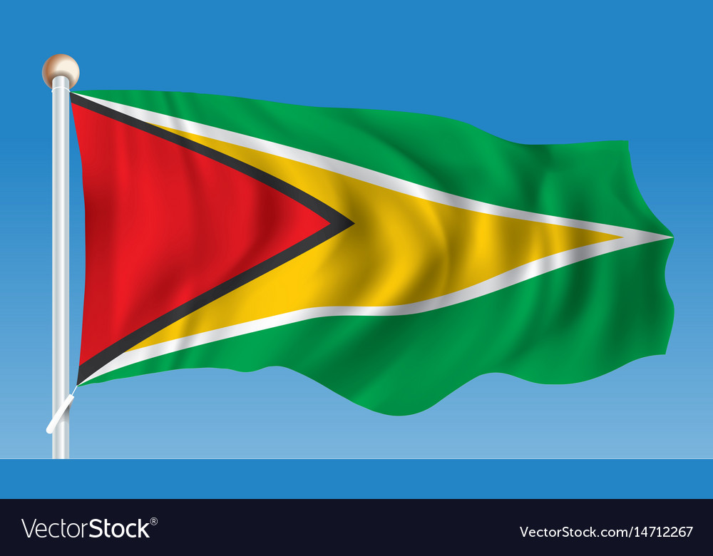 Flag Of Guyana Royalty Free Vector Image Vectorstock