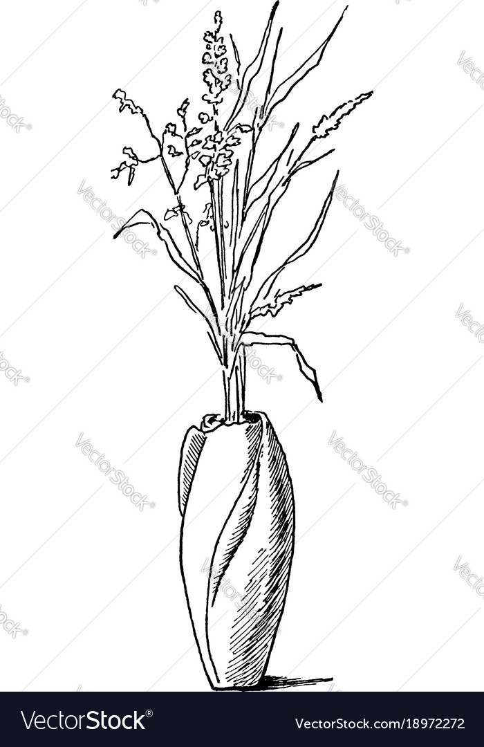 Rosebud Vase Those Begining To Unfold Are The Vector Image