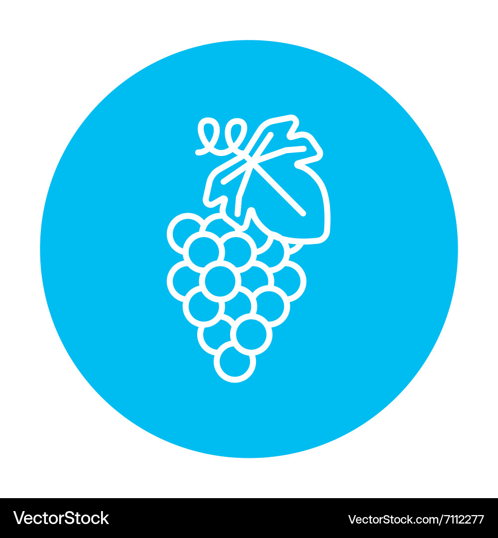 Grape line icon Royalty Free Vector Image - VectorStock