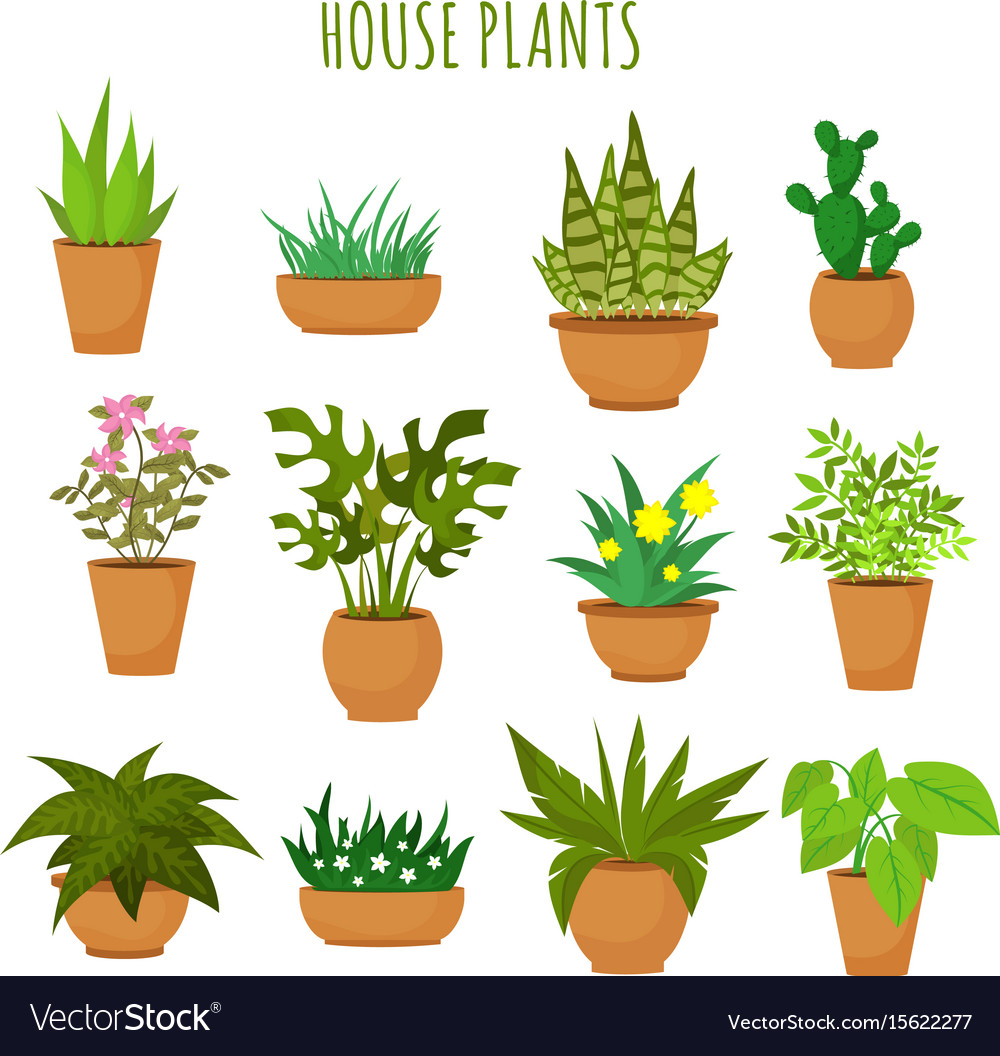 Indoor house green plants and flowers isolated on Vector Image