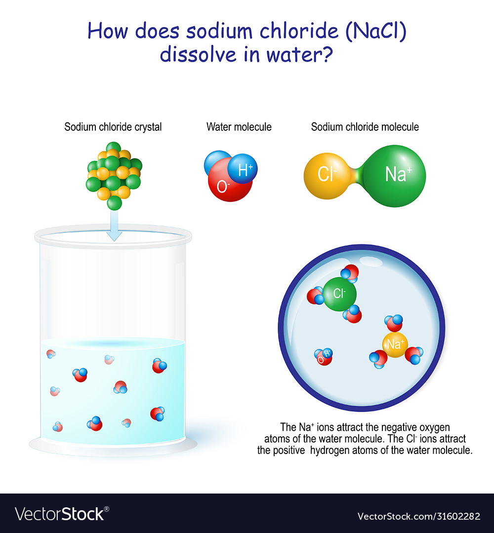 How does sodium chloride nacl dissolve in water Vector Image