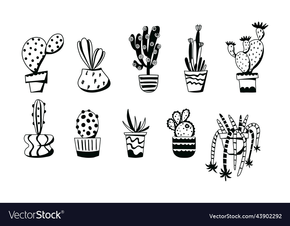 Vector Hand Drawn Doodle Sketch Black Outline Cactus Stock