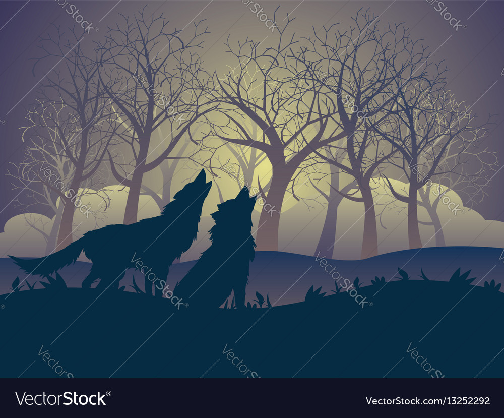 wolf howling in the night forest royalty free vector image