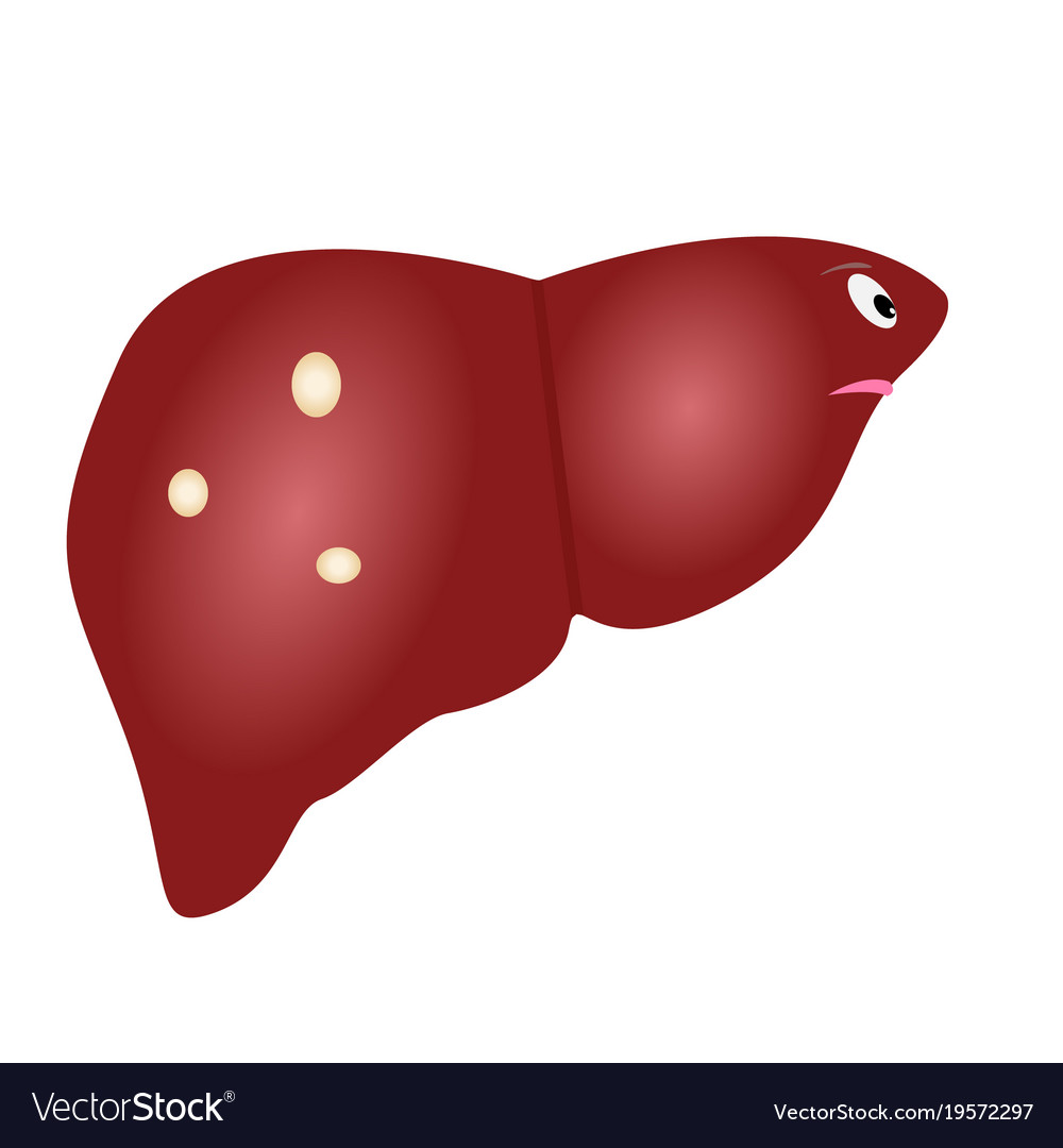 Cute unhealthy liver with cysts in cartoon style