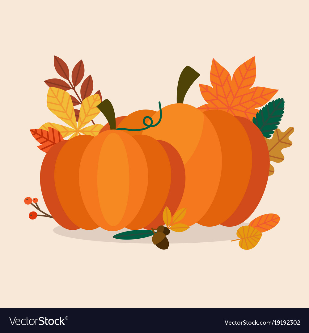 Autumn pumpkins and leaves flat design modern Vector Image