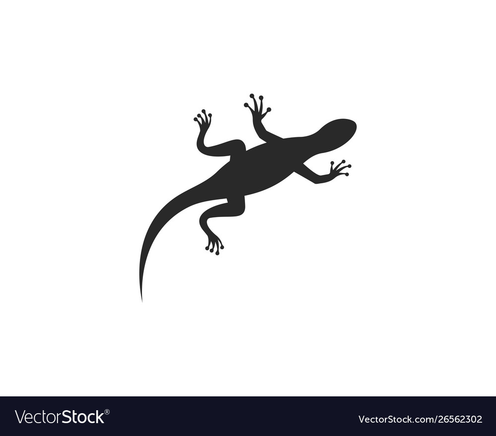 Gecko logo Royalty Free Vector Image - VectorStock