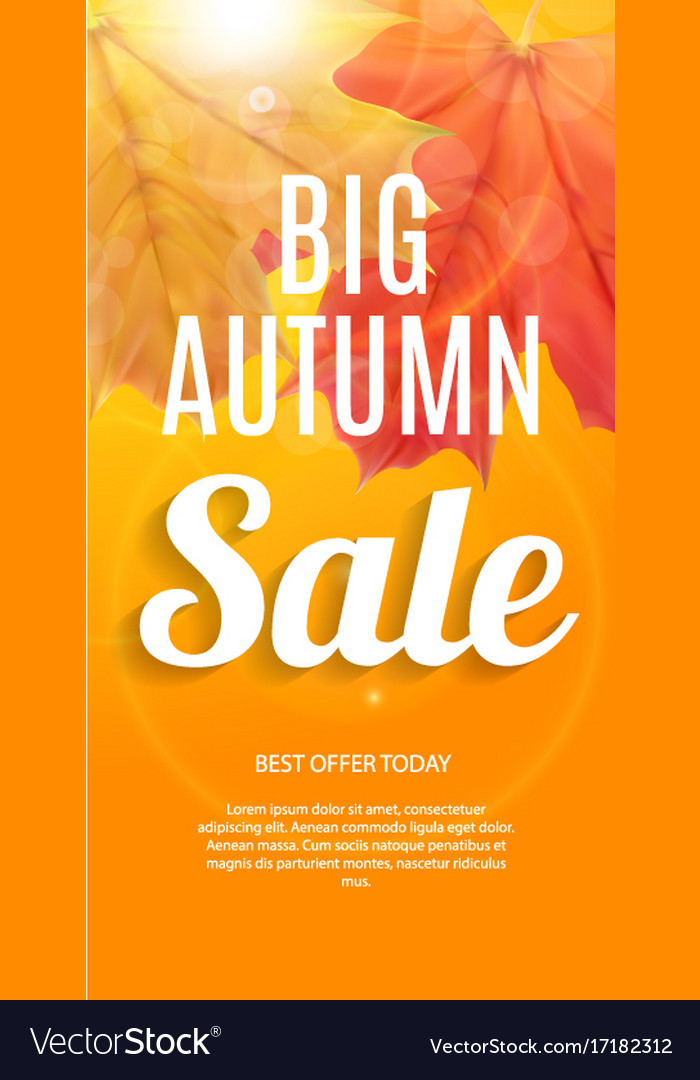 Shiny autumn leaves sale banner business discount Vector Image