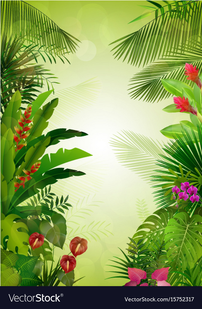 Exotic Tropical Background Royalty Free Vector Image