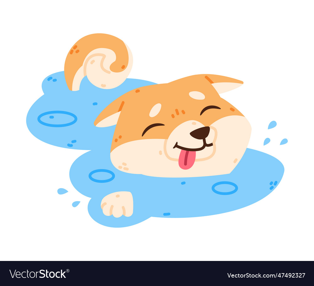 Akita inu dog and domestic animal or pet swim in Vector Image