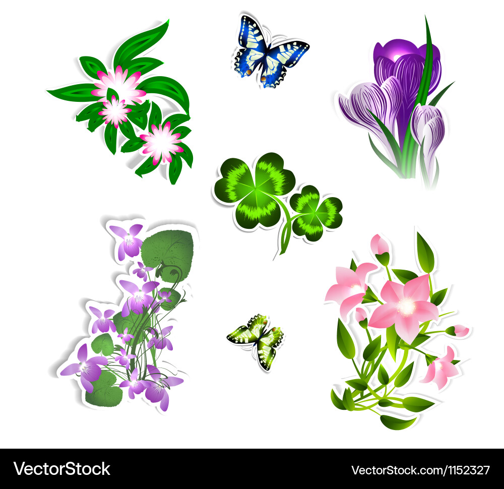 Flower set Royalty Free Vector Image - VectorStock