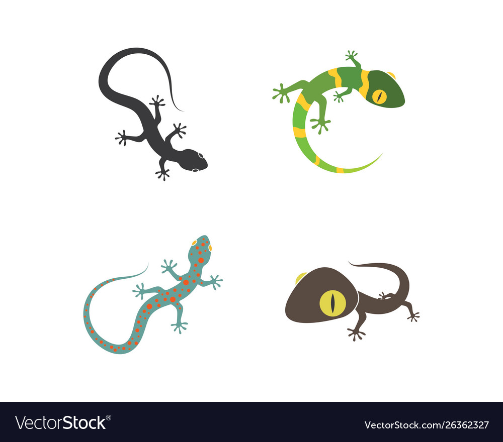 Gecko logo icon Royalty Free Vector Image - VectorStock