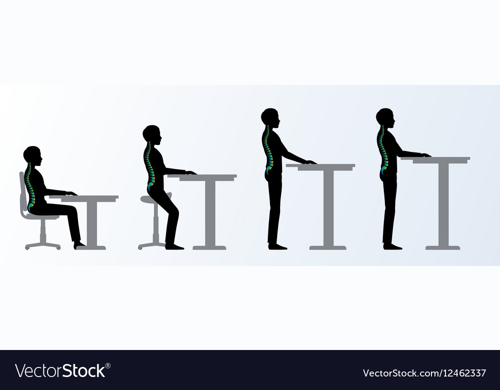 Ergonomic Height Adjustable Desk Or Table Poses Vector Image