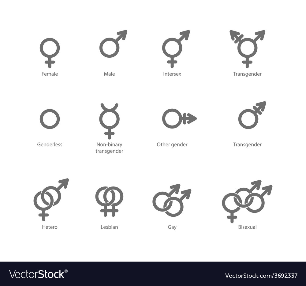 Gender Symbol Icons Royalty Free Vector Image Vectorstock