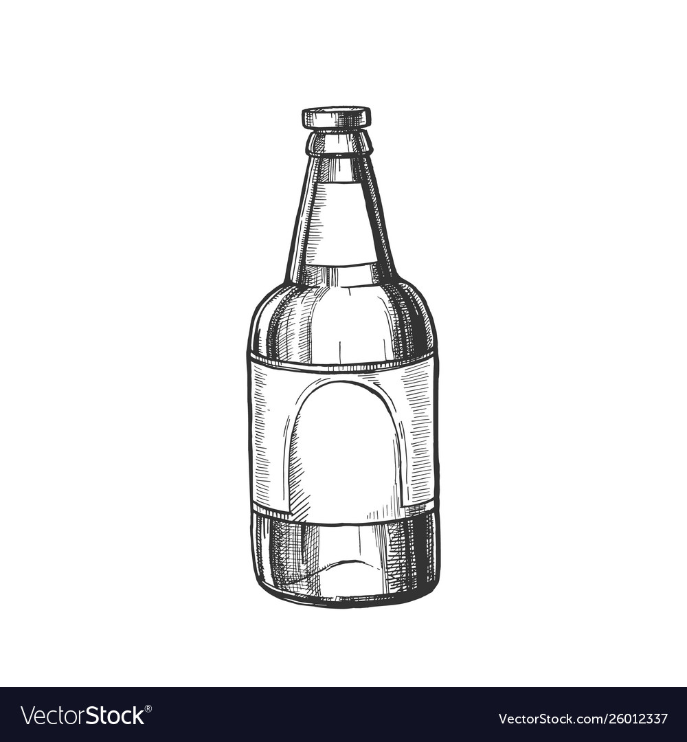 Hand drawn classic glass bottle of beer Royalty Free Vector